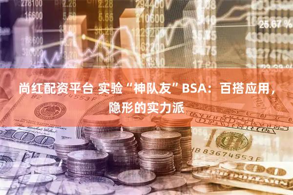 尚红配资平台 实验“神队友”BSA：百搭应用，隐形的实力派