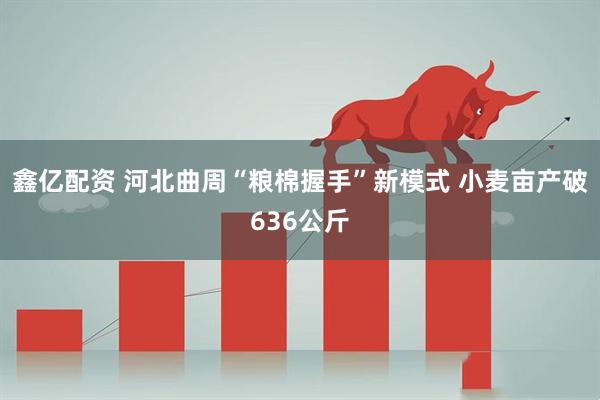鑫亿配资 河北曲周“粮棉握手”新模式 小麦亩产破636公斤